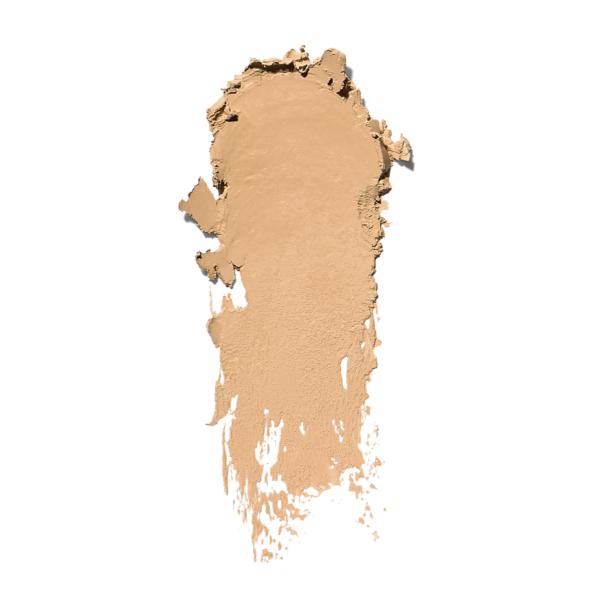 Bobbi Brown Skin Foundation Stick Discount