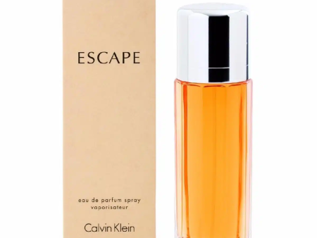 Escape Calvin Klein 100ml EDP Mujer For Cheap